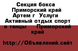 Секция бокса - Приморский край, Артем г. Услуги » Активный отдых,спорт и танцы   . Приморский край